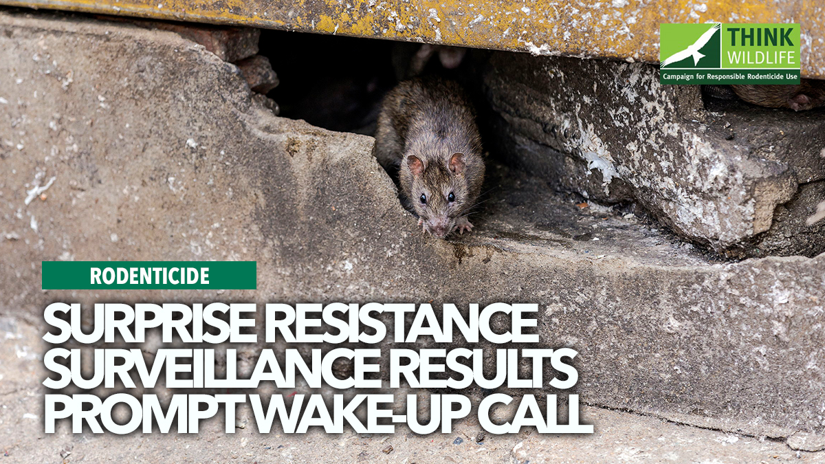 surprise-resistance-results-crru surprise-resistance-results-crru